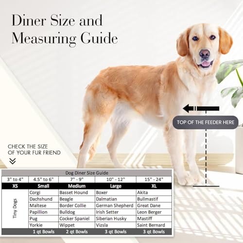 Regal Single Bowl Raised Feeder - Elevated Feeding Station - Metal, Wrought Iron Dog Bowl, Best Single Diner, Pet Bowl for Small, Medium, Large and XL Dogs - (Medium - 7" Tall) - view 6