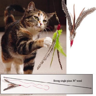 The Da Bird Super Pack (Includes 1 Da Bird Original 36" Single Pole Cat Toy, Feather Refill, Sparkly Attachment, Kitty Puff Attachment & Peacock Feather) - view 3