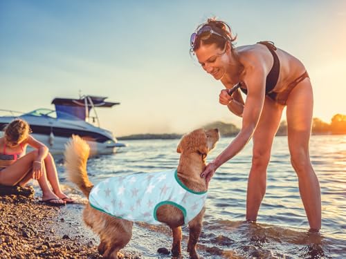 Lightweight Breathable Dog Cooling Shirts, Quick Dry Dog Sunscreen T-Shirt, Professional Pet Summer Vest for Small Medium Large Dogs - view 4