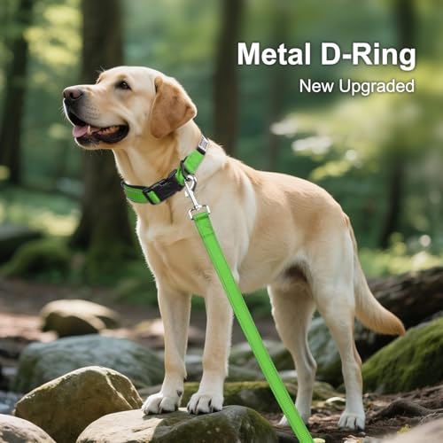 Personalized Dog Collar with Name Plate Built-in for XLarge Dogs - view 3