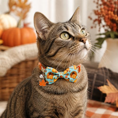 2 Pack Thanksgiving Cat Collars with Bow Ties & Charms, Cute Turkey Pumpkin Fall Breakaway Collars with Bells for Boy Girl Kitties & Kittens - view 2
