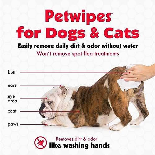 Pet Wipes for Dogs and Cats, 200 Large Wipes - Removes Dirt & Odor Like Washing Hands - Cleans Ears, Face, Butt, Eye Area - Convenient, Ideal for Home or Travel - 2 Packs of 100 Wipes - view 3