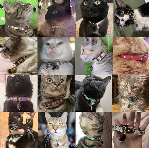 Coffee Cat Collar with Bell | Safety Breakaway Collar | Adjustable Large Size or Kitten Collar (Small(10lbs & Less), Cream) - view 2