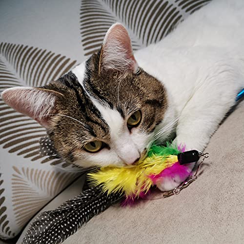 Cat Feather Toys Refills, 10 Pieces Worms Feathers Refills, Cat Wand Replacement Feathers Toy for Indoor Cats - view 4
