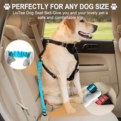 Dog Seat Belt for Car, Retractable Pet Safety Harness, Adjustable Nylon Dog Seatbelt Leash, Comfortable Dog Accessories for Vehicles (Teal-1PCS) - view 2