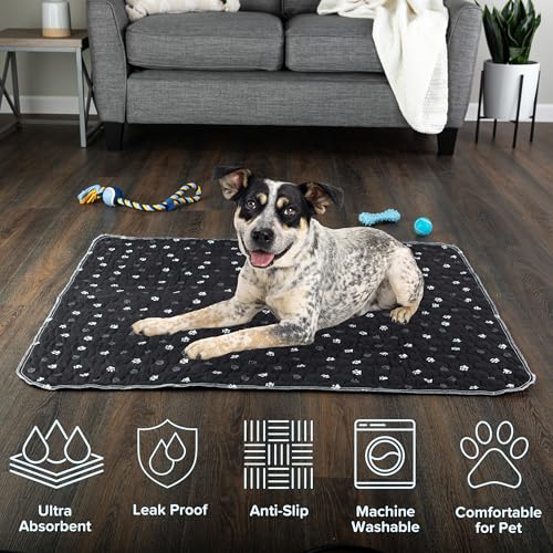 Washable Pee Pads for Dogs - 2-Pack 36” x 41” Reusable Puppy Pads for Dog Potty Training, Whelping, or Crate - Grooming Glove Included - Ultra-Absorbent and Leak-Resistant Dog Pads (Black) - view 2