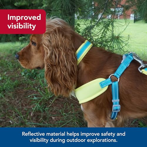 Pet Pro Adjustable Dog Collar, Aqua with Neon Yellow, 1" x 14 20" - view 3