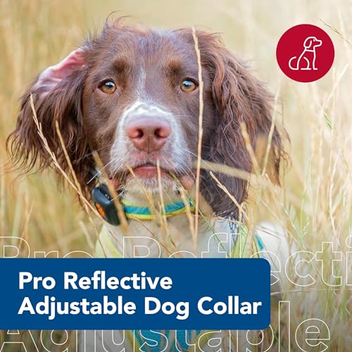 Pet Pro Adjustable Dog Collar, Aqua with Neon Yellow, 1" x 14 20" - view 2