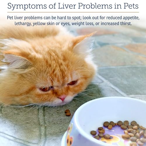 Liquid Hepato Support for Dogs & Cats - 4oz - view 3
