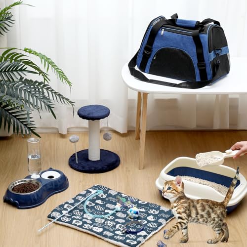 10 Pcs Kitten Starter Kit for Indoor, Classic, Medium, Dark Blue - view 3