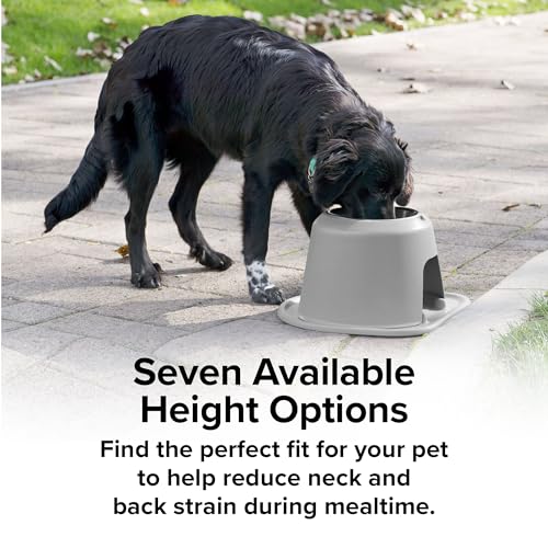 Single High Pet Feeding System - Raised Dog/Cat Bowl - 4" High Stand Dark Grey (SH1604DGDG) - view 7