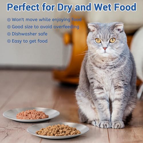 Stainless Steel Cat Dishes, Nonslip Cat Food Bowl Set, Cats Bowls or Plates - view 5