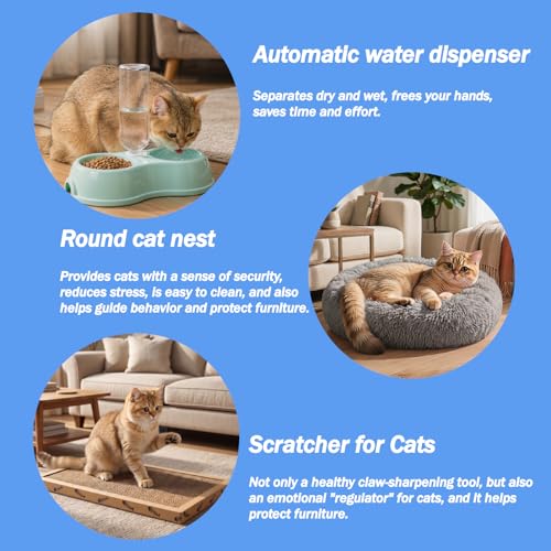 Kitten Starter Kit - 45 Pcs of Cat Essentials - view 3