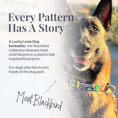 Collar for Medium Dogs Cute Adjustable – Blackbird, Medium - view 3
