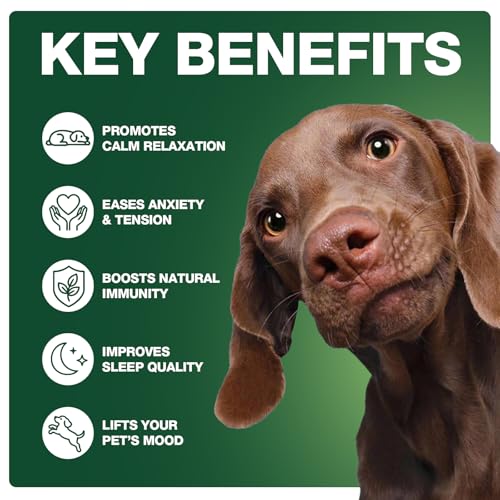 180 Cts Dog Calming Chews, Calming Chews for Dogs, Soft Chews - view 4