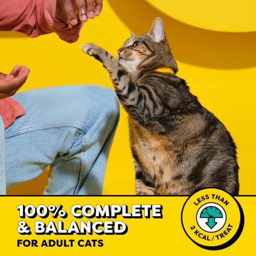 Classic Crunchy and Soft Cat Treats, Tasty Chicken, 30 oz - view 4