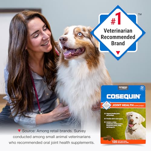 Nutramax Cosequin Joint Supplement for Dogs, Skin & Coat, Soft Chews,120ct - view 4