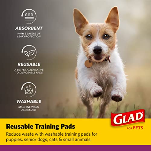 For Pets, Washable Pee Pads, Reusable Dog Pads, 24x36 In, 2 Count - view 3