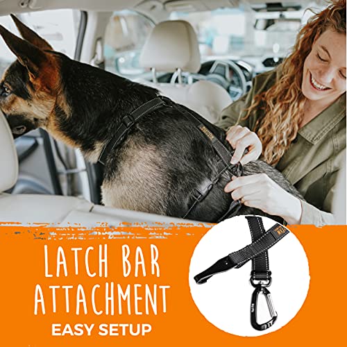 Dog Seat Belt For Car - LATCH Compatible Adjustable Dog Seatbelt Harness for Small, Medium and Large Pets. Distraction Free Driving, Heavy-Duty Design with Aviation Grade Aluminum Carabiner - view 5