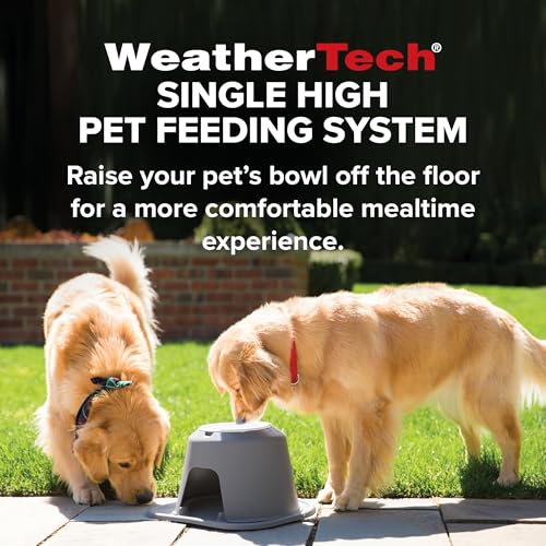 Single High Pet Feeding System - Raised Dog/Cat Bowl - 4" High Stand Dark Grey (SH1604DGDG) - view 3