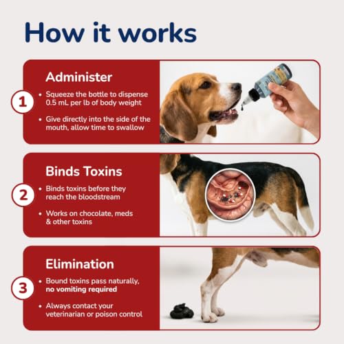 Activated Charcoal for Dogs, Cats & Puppies – Emergency Pet First Aid Gel for Accidental Ingestion, Beef-Flavored Digestive Paste, Veterinarian-Developed, Made in USA, 60 mL - view 4