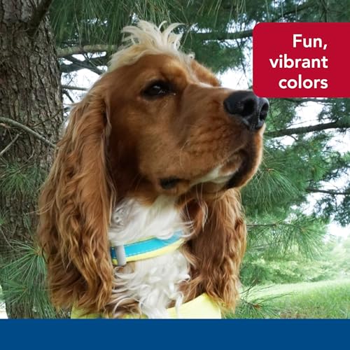 Pet Pro Adjustable Dog Collar, Aqua with Neon Yellow, 1" x 14 20" - view 6