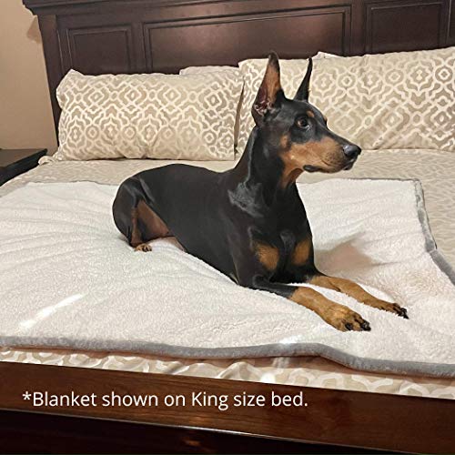 Plush Reversible Waterproof Dog Blanket – Soft Sherpa & Microfiber Pet Throw – Durable Couch, Bed, or Crate Protector for Dogs – Machine Washable Pet Cover – 60x48 Inch – Grey Color - view 3