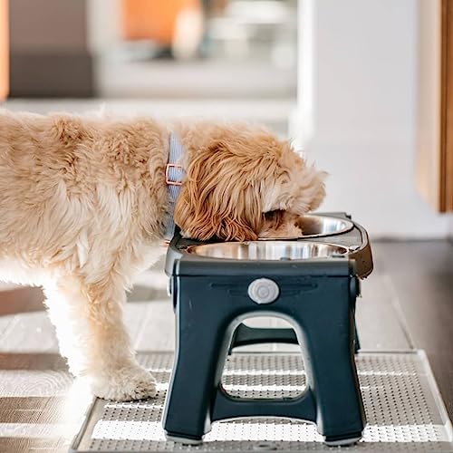 Pets Adjustable Height Double Pet Feeder with Stainless Steel Bowls - view 2