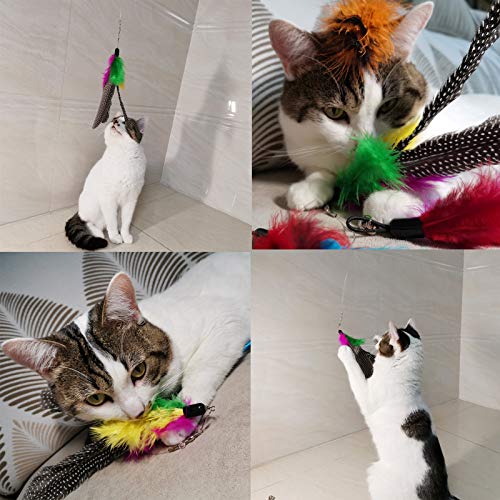 Cat Feather Toys Refills, 10 Pieces Worms Feathers Refills, Cat Wand Replacement Feathers Toy for Indoor Cats - view 2