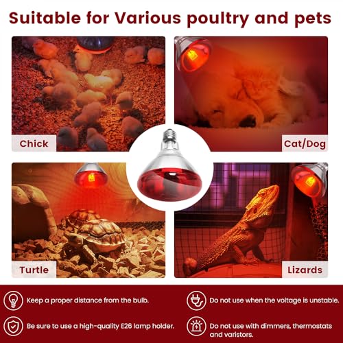 Infrared Heat Lamp Bulb for Chickens Red Heat Lamp Flood Light Heat Lamp Bulb 150 W Heating Bulbs for Brooder Coops Pets Chicks Reptiles Food Service (1 Pack) - view 6