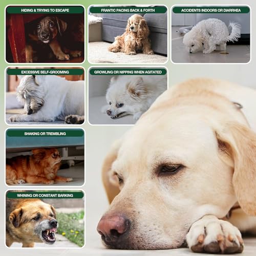 180 Cts Dog Calming Chews, Calming Chews for Dogs, Soft Chews - view 3