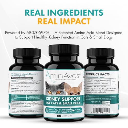 300mg Kidney Support for Cats & Small Dogs, 60 Sprinkle Capsules - view 5