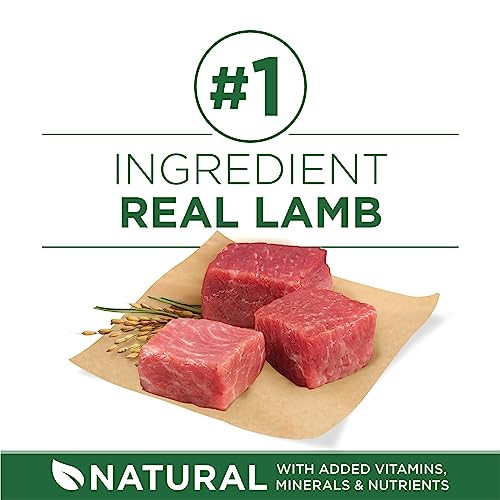 Plus Small Breed High Protein Dry Dog Food, Lamb, 3.8 lb Bag - view 3