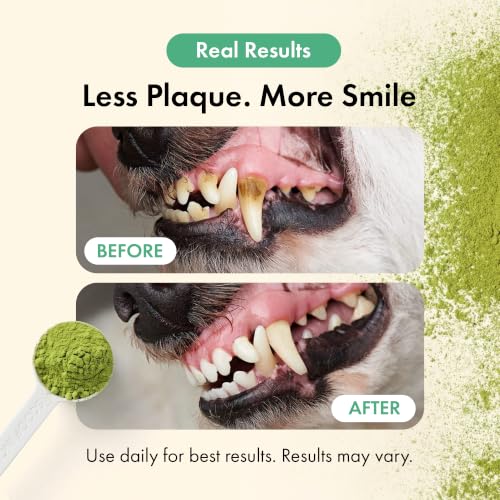 Dog Dental Powder, Dog Teeth Cleaning Breath Freshener - view 2