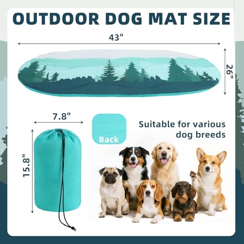 Reversible Outdoor Travel Dog Bed Waterproof, Camping Essentials with Carry Bag, Portable & Foldable Pet Pad Crate Kennel Mat for Large Medium Small Dogs, Travel Accessories, 43”x26” Blue - view 2
