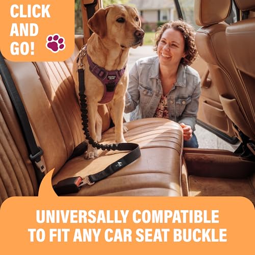 Dog Seatbelt, Adjustable Safety Dog Seat Car Harness, Dog Seat Belt for Pets - Durable Dog Seatbelts for Cars - Dog Car Seat Belt for Dogs, Dog seat Belts for Large Dogs, Medium, & Small - view 2