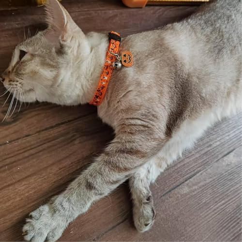 Halloween Cat Collar,2 Pack Collar with Bells, Orange+Black - view 5