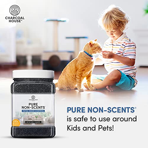 Pure Non Scents Granular Coconut Shell Activated Charcoal - Non Toxic Odor Absorber & Eliminator for Home, Car, Shoes, Closet, Fridge, & More - Safe Deodorizer for Bad Odors - Unscented, 2lbs - view 5
