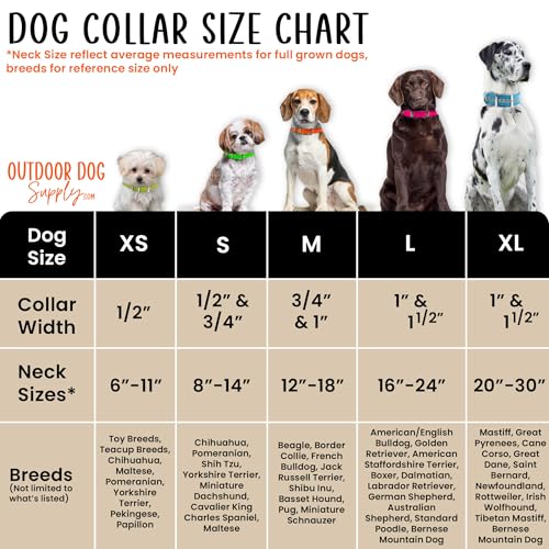 Heavy Duty Waterproof D-Ring Dog Collar w Custom Name Tag, Lime Green 21" - view 4