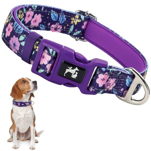 Reflective Dog Collar for Medium Dogs-Purple Floral Collar with Padded-M