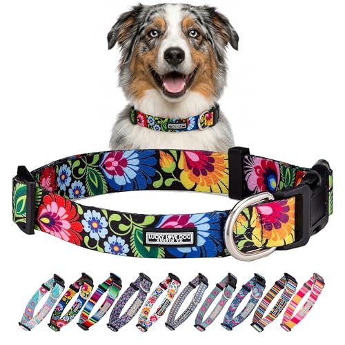 Collar for Medium Dogs Cute Adjustable – Blackbird, Medium
