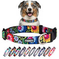 Collar for Medium Dogs Cute Adjustable – Blackbird, Medium