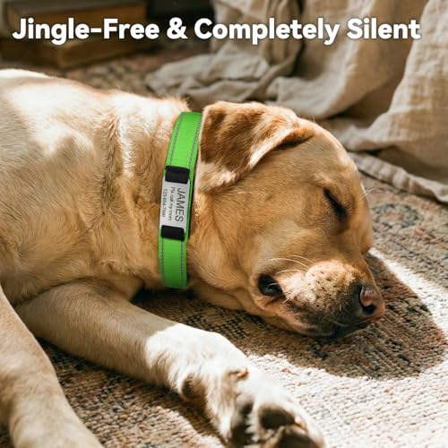 Personalized Dog Collar with Name Plate Built-in for XLarge Dogs - view 5