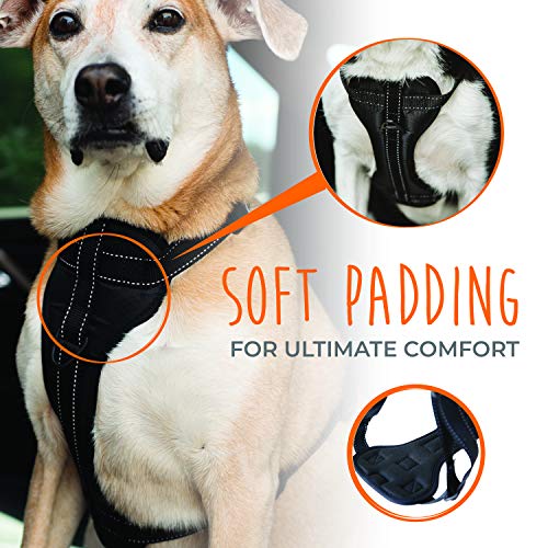 Dog Car Harness - Vehicle Safety Gear - 2 Leash Attachment - Adjustable Straps - Reflective Stitching - Soft Padding - Standard Harness Functionality - No Pull Front Leash Attachment - L - view 3
