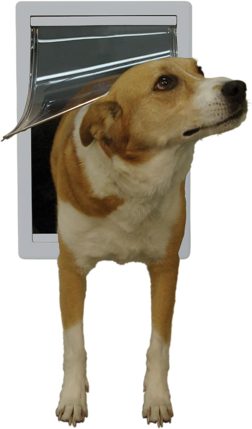 Designer Series Plastic Pet Door with Telescoping Frame, Medium, 7" x 11.25" Flap Size - view 3