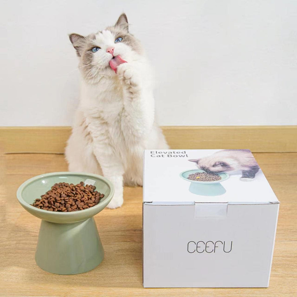Extra Wide Elevated Ceramic 6.2" Shallow Cat Food Bowl | Cat Dish for Whisker Fatigue Relief, 5" Height for Easy Feeding, Lead & Cadmium Free, Durable Raised Cat Bowl, Sage Green - view 4
