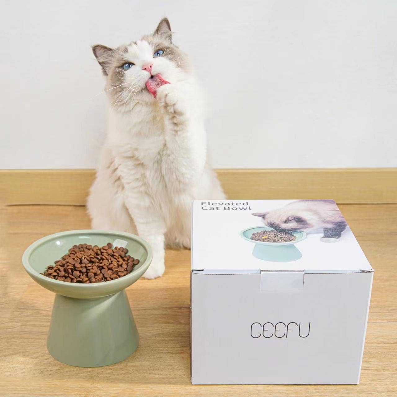 Extra Wide Elevated Ceramic 6.2" Shallow Cat Food Bowl | Cat Dish for Whisker Fatigue Relief, 5" Height for Easy Feeding, Lead & Cadmium Free, Durable Raised Cat Bowl, Sage Green - view 4