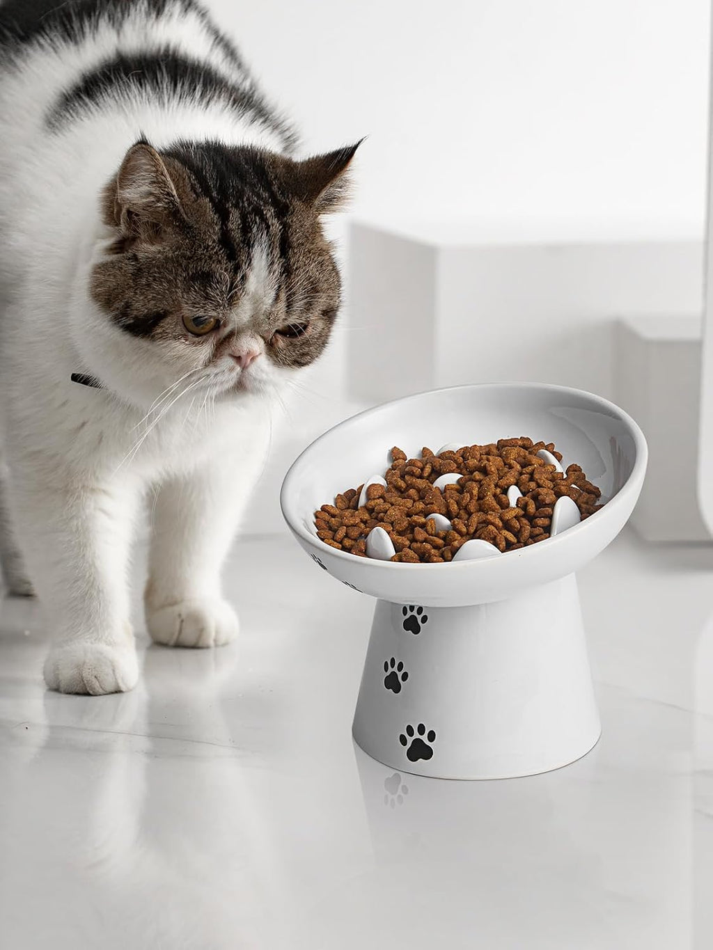 Slow Feeder Cat Bowl, Ceramic Cat Slow Feeder Bowl, 6 Inches, Elevated, Anti Vomiting for Dry and Wet Food, White - view 7