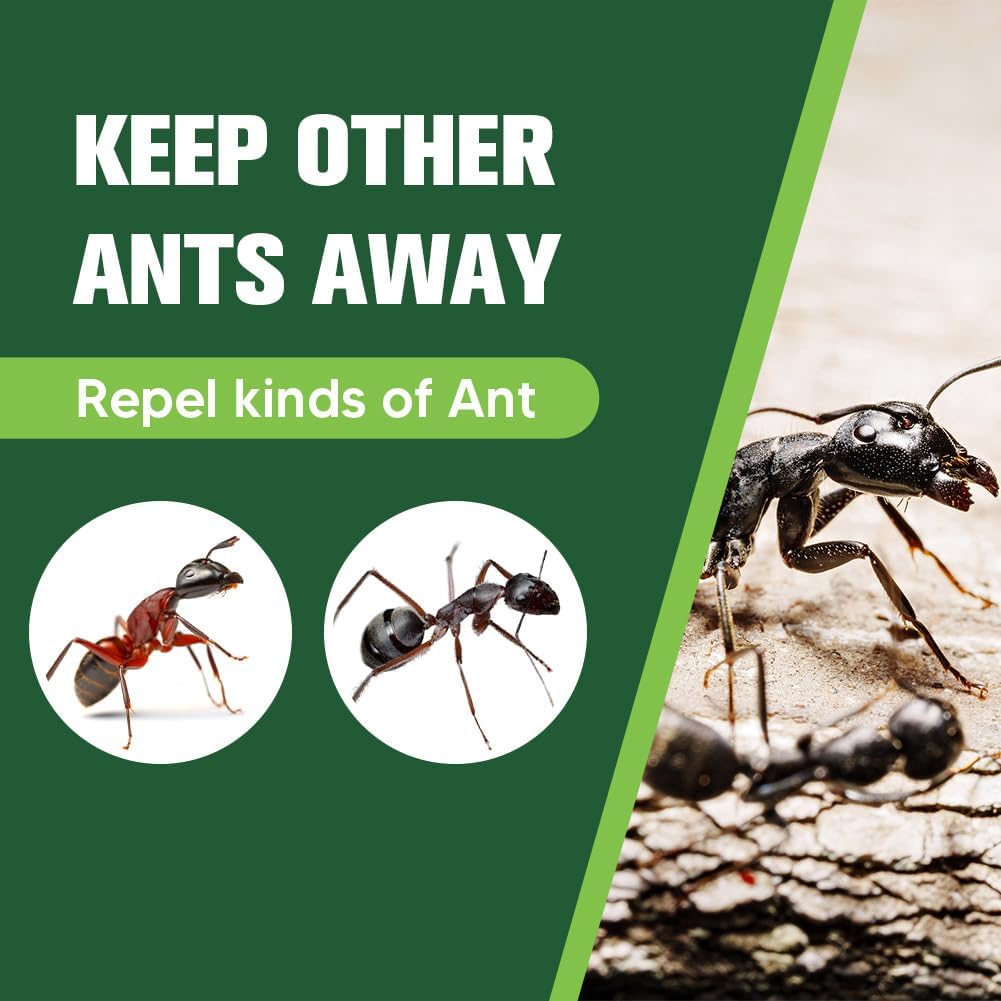 Ant Repellent Indoor Pet Safe, Ant Repellent Outdoor, Get Rid of Ant, Keeps Ants Away, Ant Deterrent for Home, Protects up to 120 sq ft, Natural Ingredients, People/Pet/Plant Friendly- 4P - view 2