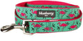 Essentials 2 Patterns Durable Pink Flamingo on Light Emerald Dog Leash 5 ft x 5/8", Small, Basic Nylon Leashes for Dogs